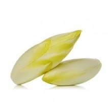 ENDIVE