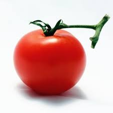 TOMATO