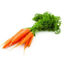 CARROT